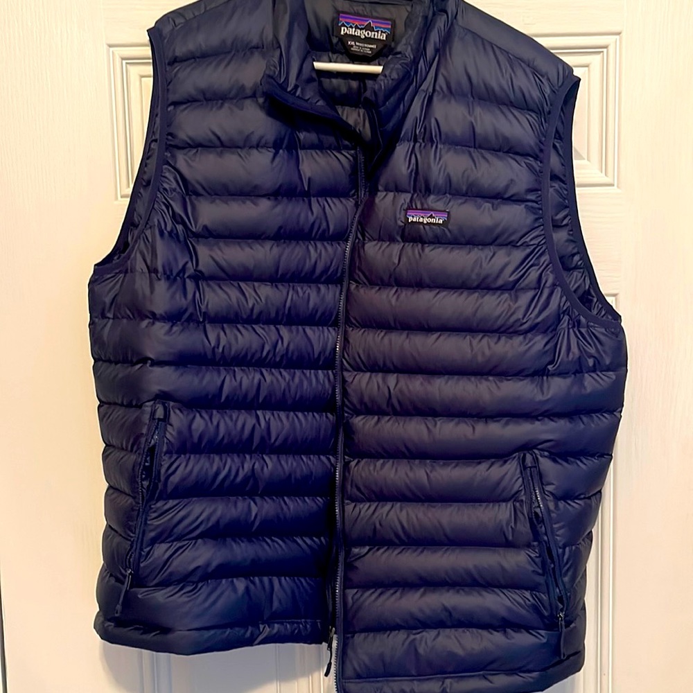 Mens Patagonia Down Sweater Vest